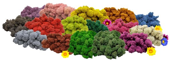 Islandmoos in 16 Farben, geärbtes Islandmoos kaufen, gefärbtes Dekomoos, gefärbtes Bastelmoos, gefärbtes Floriatikmoos, gefärbtes Modellbaumoos, gefärbtes Moos