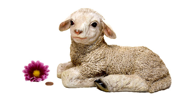 Lamm Schaf liegend. 25 x 15 x 16 cm. 900 g schwer. 100% Sichtgeprüft.